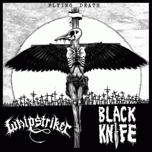 Whipstriker : Flying Death